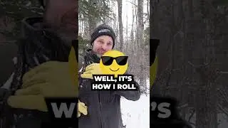 Противопаразитарные грибы (трутовик березовый)