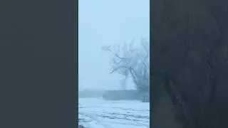Fog & Hoarfrost : Weather Update  2/15/24 CO