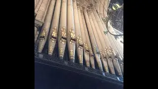 Edward Taylor plays Vierne: Final from Symphony No. 1