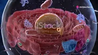 Mind-Blowing Facts About Cells You Didn't Know!