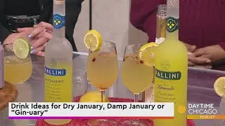 Drink Ideas for Dry January, Damp January or 