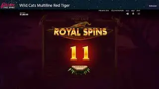 Wild Cats Multiline Red Tiger Online Slot review