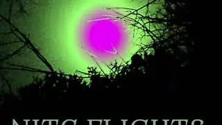 Nite Flights (Scott Walker/David Bowie Cover)