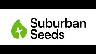 Growing Community and Faith in South West Sydney | Suburban Seeds