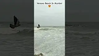 Versova Beach Condition In Mumbai ⛱️🤯