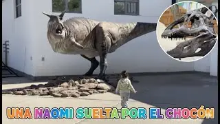 Escapada a el Chocon - Neuquen