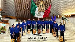 Coro Angelorum Saltillo - Basílica de Monterrey