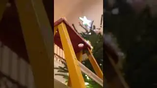 Emiru Puts the Final Star on the Christmas Tree