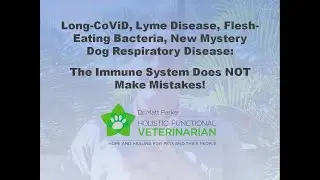 Long CoViD, Lyme Disease, Flesh-Eating Bacteria, Mystery Dog Respiratory Illness