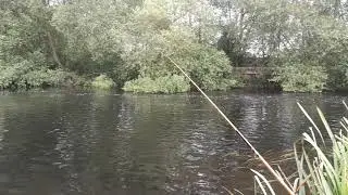 River Soar 24 06 2017 Bonsers below the weir