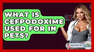 What Is Cefpodoxime Used For In Pets? - Ask A Pet Vet