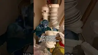 When you think the job is going to be easy, but...