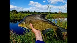 Bream lure fishing tutorial | Two PB Bream