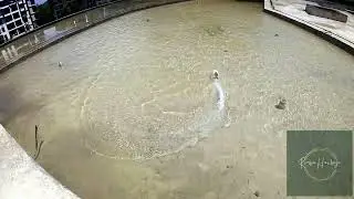 WLtoys Ocean Explorer WL912 on a flooded rooftop