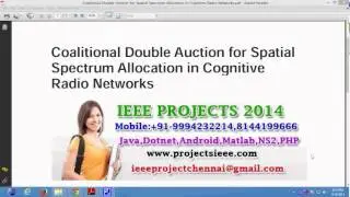 Coalitional Double Auction for Spatial Spectrum Allocation in Cognitive Radio Networks
