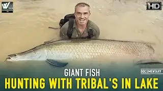 आदिवासियों के साथ शिकार |Giant Fish Hunting With Tribal's In Lake | Wild Fish | World Documentary HD