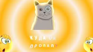 Куда пропал Dr. cat?