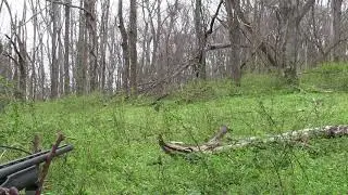 Tennessee Turkey Hunt 2017 Opening Day Monster Gobbler
