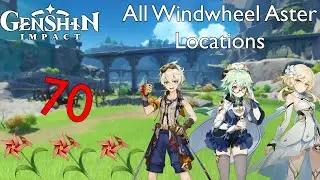 Genshin Impact l All Windwheel Aster Locations