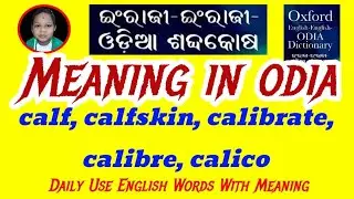 calf, calfskin, calibrate, calibre, calico Meaning In Odia |Daily Use English Words With MeaningOdia