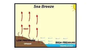 How wind affect the distribution of temperature of ocean water ?