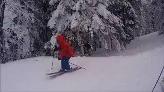 Snow Fun