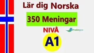 Lär dig Norska | Lär dig grundläggande Norska frase | Prolingoo