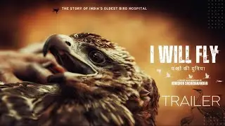 I WILL FLY | India's first bird hospital | Documentary | Trailer