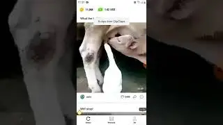 Clipclaps Encontar Tu C&oacute;digo