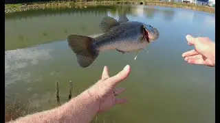 I-FISH BG-1 micro jig head field test. Big bass and broken hook edition