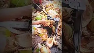 The Easiest Way to Peel Durian Using a Traditional Tool! 🔪🍈 #DurianHack #StreetFoodSkills