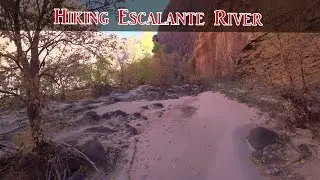 🏞️ Exploring Escalante River, Sand Creek, and 100 Hands Pictographs (Indian Ruins)