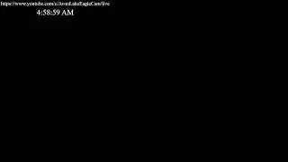 Avon Lake Eagle Cam 2