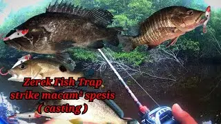 Zerek Fish Trap | Terbukti Mantap ( casting )