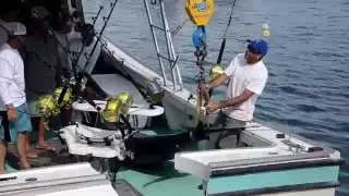 Bermuda Big Game Classic 2014