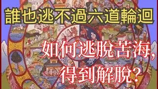 誰也逃不過六道輪迴：如何逃脫苦海，得到解脫？