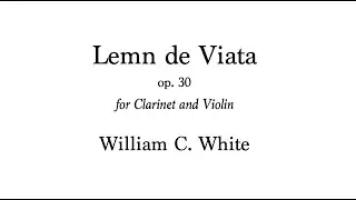 Lemn de Viata for clarinet and violin