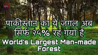 सबसे बडा ईन्सानोने बनाया हूवा जंगल । Facts Of Changa Manga Jungle | changa Manga Jungle Facts