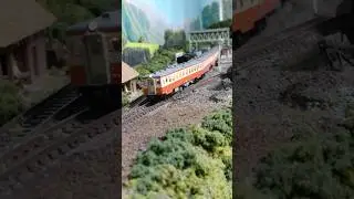 国鉄  キハ10系  キハ20系  【鉄道模型】