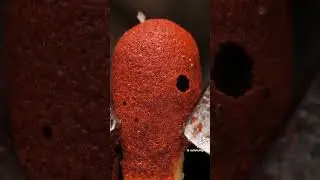Satisfying