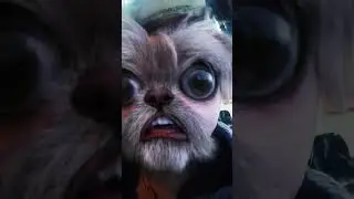 PLEASE ADOPT ME!!!
