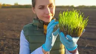 Nov Garden Prep 101 &ndash; Frost Covers, Cold Crops & Tool Care 🌿❄️ #FallGarden #SeasonPrep #DIYGarden