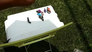to show fox whistle sound
