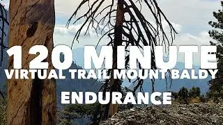 120 minute Virtual Trail Run MT BALDY