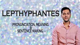 Lepthyphantes - Meaning_&_Pronunciation_Word_World_Audio_Video_Dictionary