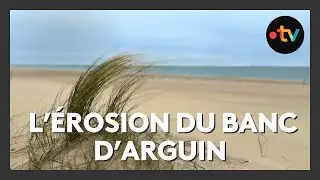 Le Banc d'Arguin, baromètre du changement climatique
