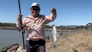 09/03/25 #update at Brickyard Cove in Berkeley,Ca. #fishing for #stripedbass 