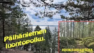 Päihäniemen uusi luontopolku Taipalsaarella