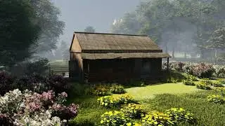 House in the forest. Lumion animation test