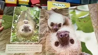 Animales pequeños y sus familias
